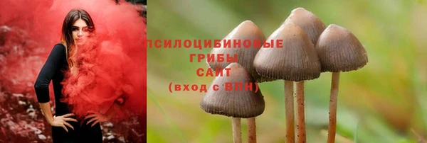 прущая мука Арсеньев