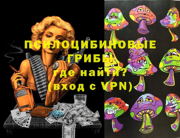 прущая мука Арсеньев